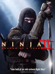 NINJA SHADOW OF A TEAR 2013 ταινιες online seires xrysoi greek subs