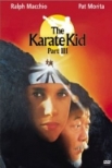 THE KARATE KID 3 (1989) tainies Online | anime movies series THE KARATE KID 3 (1989) ταινιες online seires xrysoi greek subs